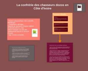 carte institutionnelle des Dozos